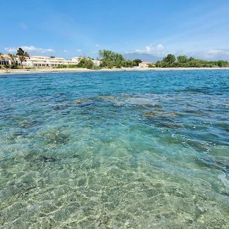 Marine De Bravone T2 Terrasse Front De Mer - Plage Pieds Dans L'Eau - Clim - Piscine - Wifi Linguizzetta Εξωτερικό φωτογραφία