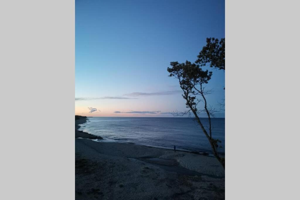 Marine De Bravone T2 Terrasse Front De Mer - Plage Pieds Dans L'Eau - Clim - Piscine - Wifi Linguizzetta Εξωτερικό φωτογραφία