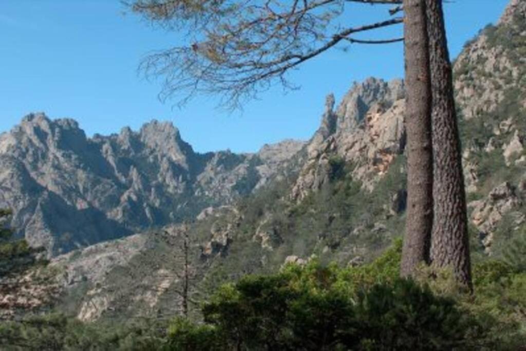 Marine De Bravone T2 Terrasse Front De Mer - Plage Pieds Dans L'Eau - Clim - Piscine - Wifi Linguizzetta Εξωτερικό φωτογραφία