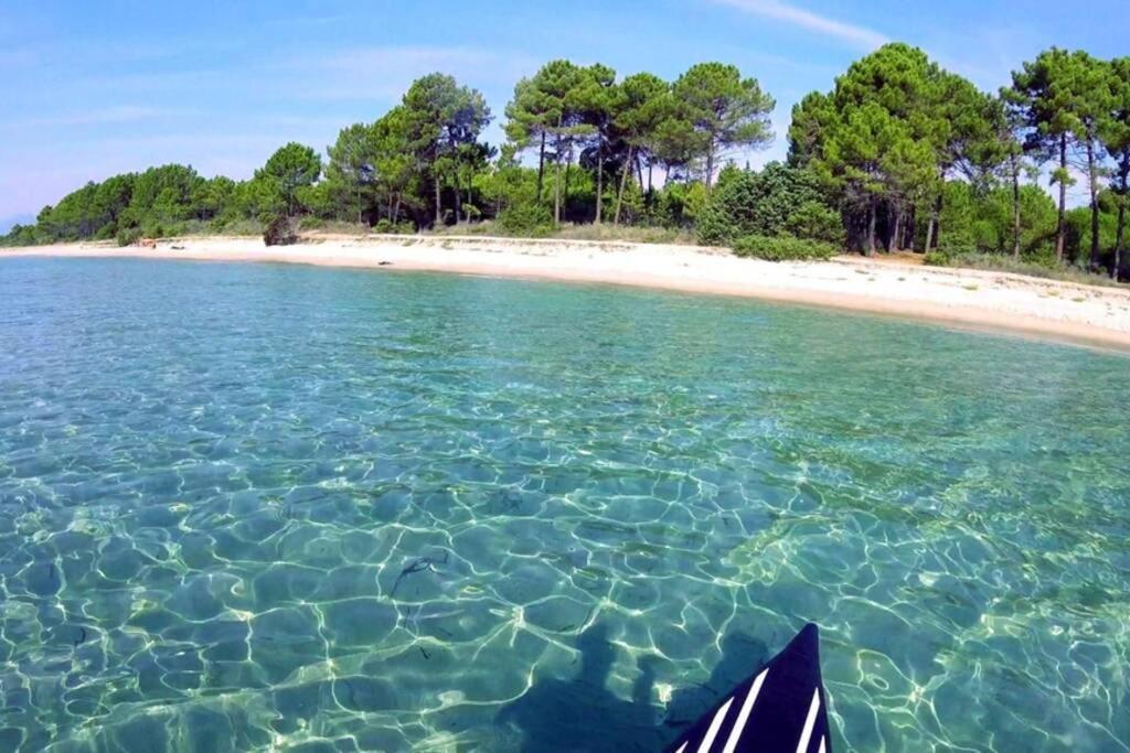 Marine De Bravone T2 Terrasse Front De Mer - Plage Pieds Dans L'Eau - Clim - Piscine - Wifi Linguizzetta Εξωτερικό φωτογραφία