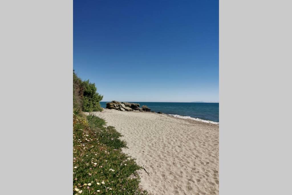 Marine De Bravone T2 Terrasse Front De Mer - Plage Pieds Dans L'Eau - Clim - Piscine - Wifi Linguizzetta Εξωτερικό φωτογραφία