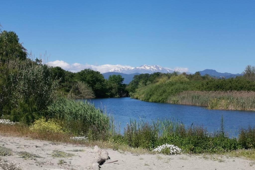 Marine De Bravone T2 Terrasse Front De Mer - Plage Pieds Dans L'Eau - Clim - Piscine - Wifi Linguizzetta Εξωτερικό φωτογραφία
