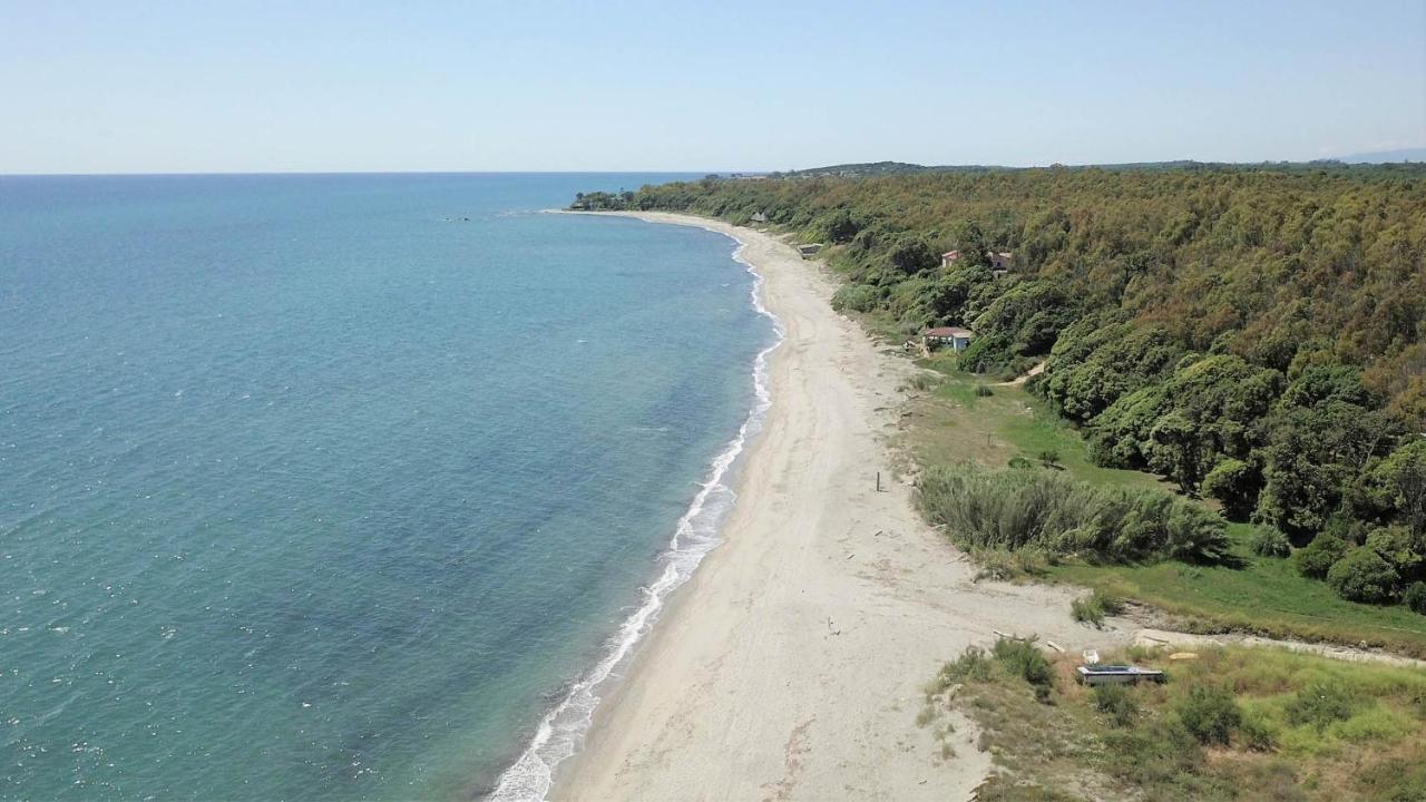 Marine De Bravone T2 Terrasse Front De Mer - Plage Pieds Dans L'Eau - Clim - Piscine - Wifi Linguizzetta Εξωτερικό φωτογραφία