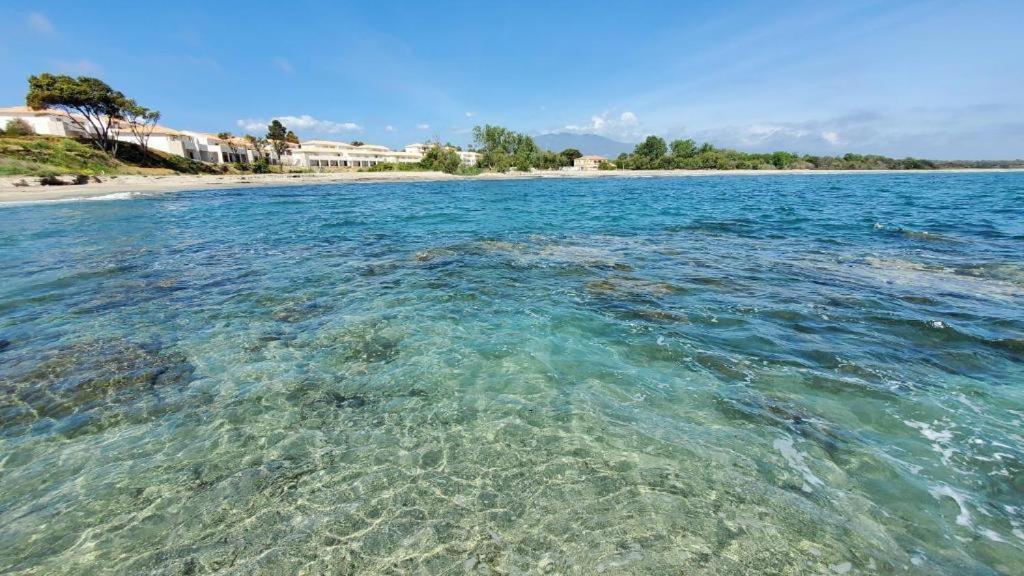 Marine De Bravone T2 Terrasse Front De Mer - Plage Pieds Dans L'Eau - Clim - Piscine - Wifi Linguizzetta Εξωτερικό φωτογραφία